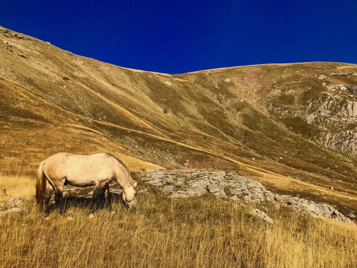Apartmani El Tarik Bjelašnica Dış mekan fotoğraf